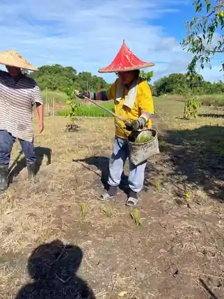 Aktivitas aplikasi lapangan untuk pembelajaran dan validasi pertanian